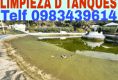 Limpieza de Terrazas Tref 0987058464