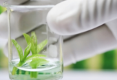 Curso Cultivo in vitro de tejidos vegetales