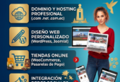 Diseño y Desarrollo de Páginas Web en el Ecuador :: Cegasolutions