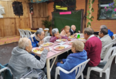 RESIDENCIA GERIATRICA MARÍA TERESA