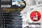 Diseño y Desarrollo de Páginas Web en el Ecuador :: Cegasolutions