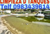 Limpieza de Terrazas Tref 0987058464
