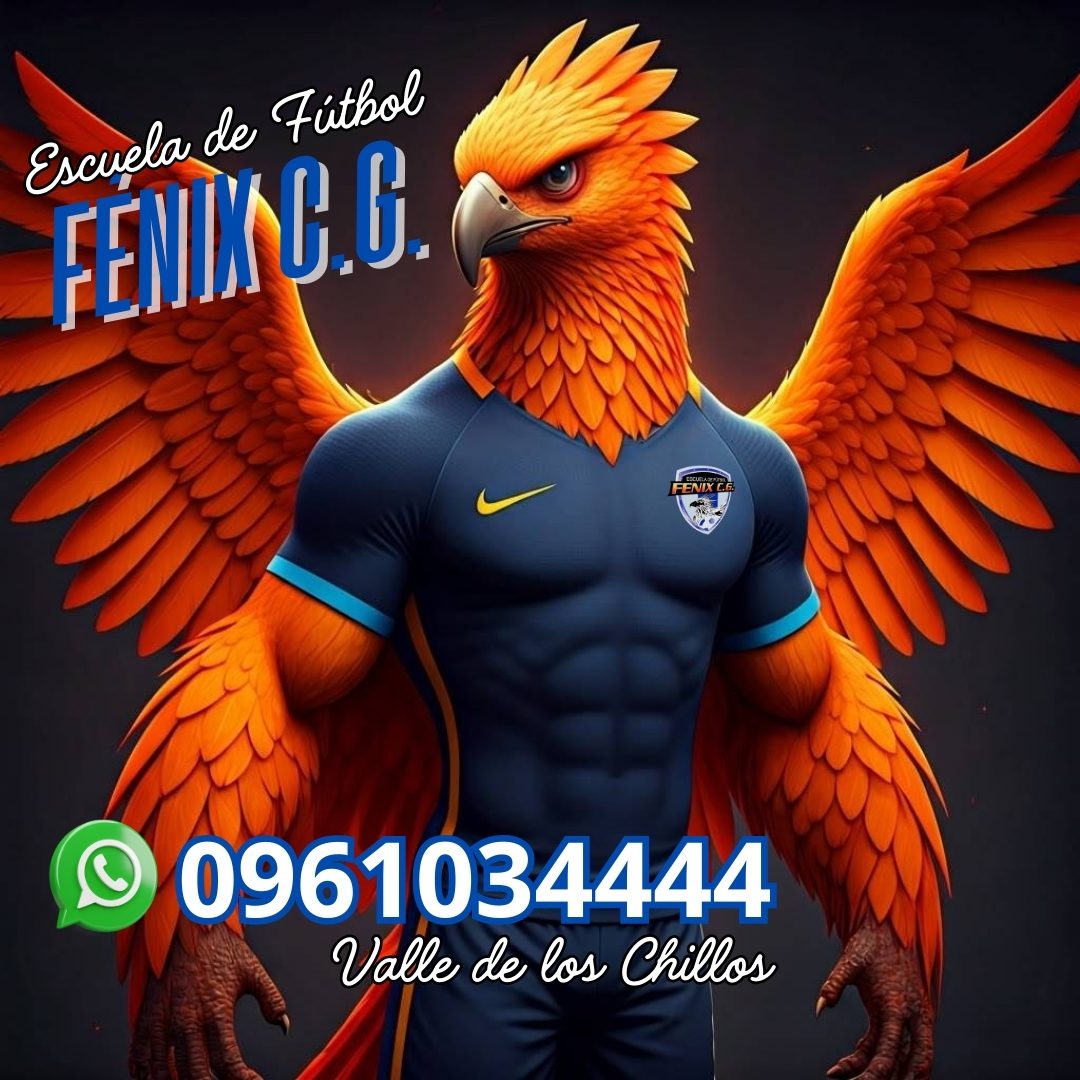 ESCUELA DE FÚTBOL FÉNIX C.G. en Sangolquí y el Valle de los Chillos ⚽