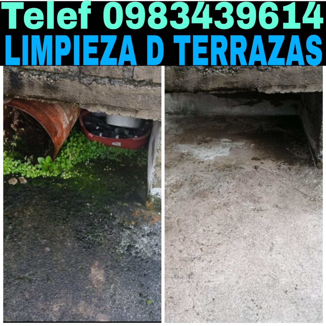 Limpieza de Galpones Industriales en Carcelén