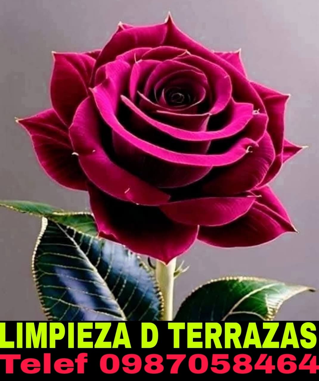 Limpieza de Eventos en Quito