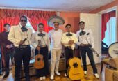 Mariachis Desde $35 – Disponibles 24/7 – Mariachis Económicos 🎺