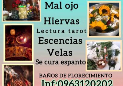 Chamanes y Esoteria consultas y limpias - Quito 1757039437735