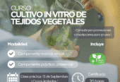 Curso Cultivo in vitro de tejidos vegetales