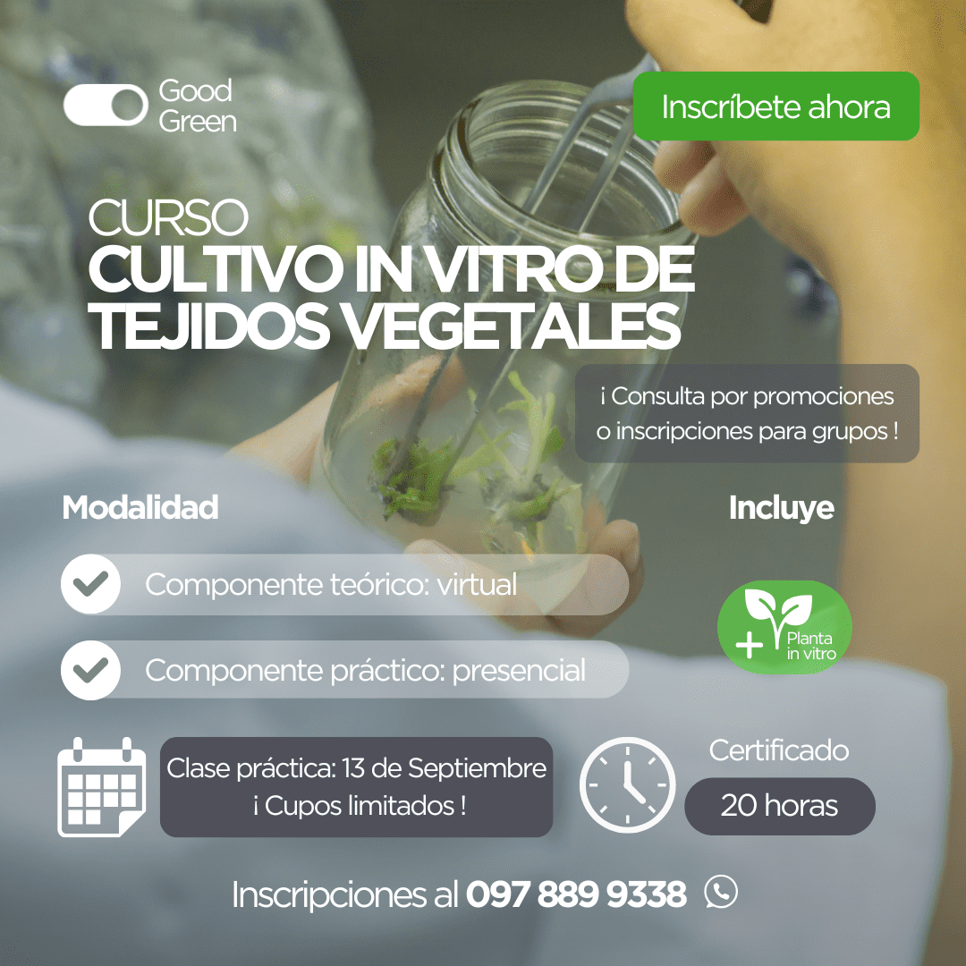 Curso Cultivo in vitro de tejidos vegetales