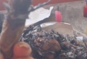 El Cacique de la Guajira