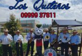 Banda de Pueblo “LOS QUITEÑOS”