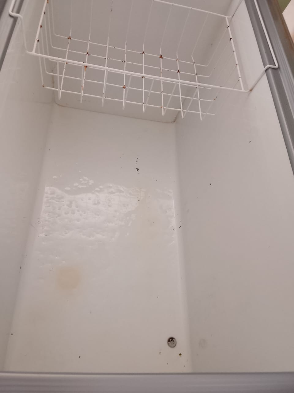 Congelador Grande para negocio