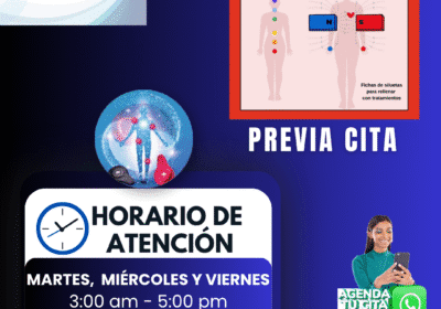 Terapia alternativa con par bio-magnético (Biomagnetismo médico) nuevo-horario
