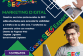 Experto Seo Ecuador Posicionamiento Web