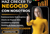 Experto Seo Ecuador Posicionamiento Web