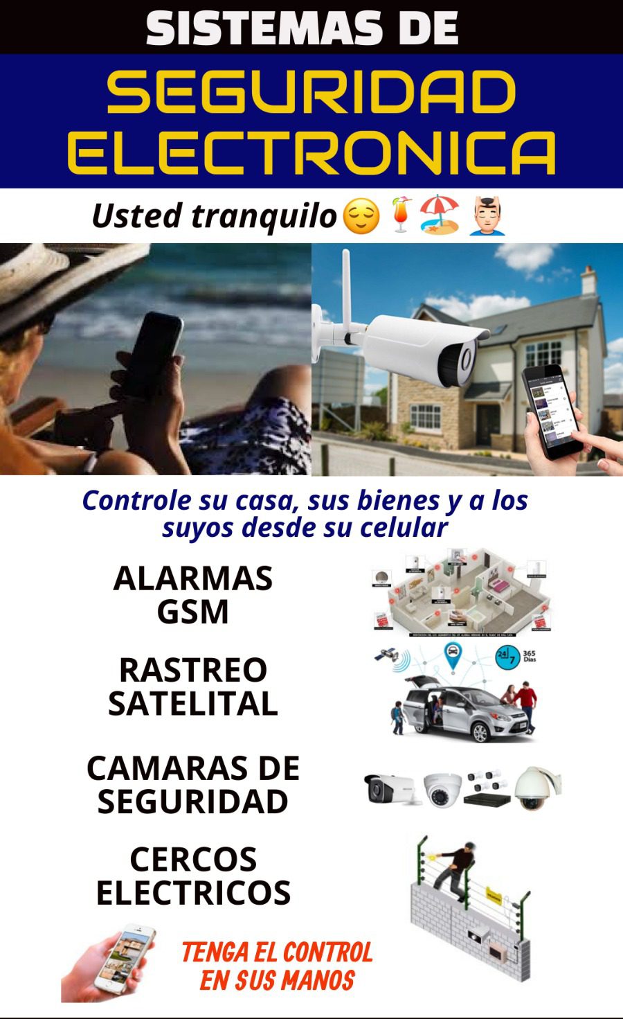 Seguridad Electrónica
