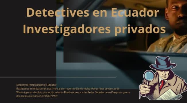 Investigador Detectives Privados Investigador Detectives Privados