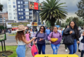 Ofrecemos los Servicios de Volanteo