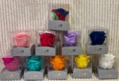Rosas Preservadas Ecuador La Rose Preserved Infinity Blooms