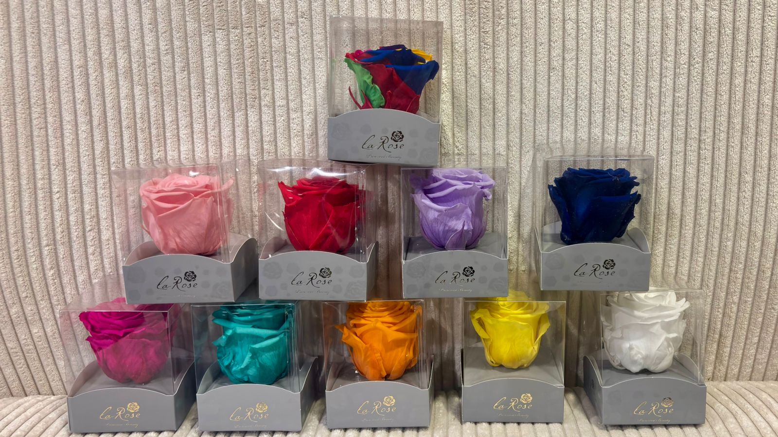 Rosas Preservadas Ecuador La Rose Preserved Infinity Blooms