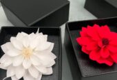 Rosas Preservadas Ecuador La Rose Preserved Infinity Blooms