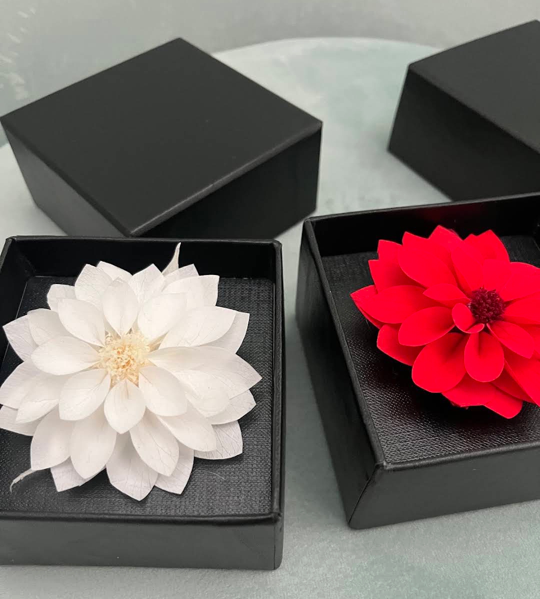 Rosas Preservadas Ecuador La Rose Preserved Infinity Blooms
