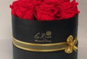 Rosas Preservadas Ecuador La Rose Preserved Infinity Blooms