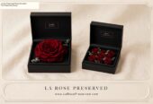 Rosas Preservadas Ecuador La Rose Preserved Infinity Blooms