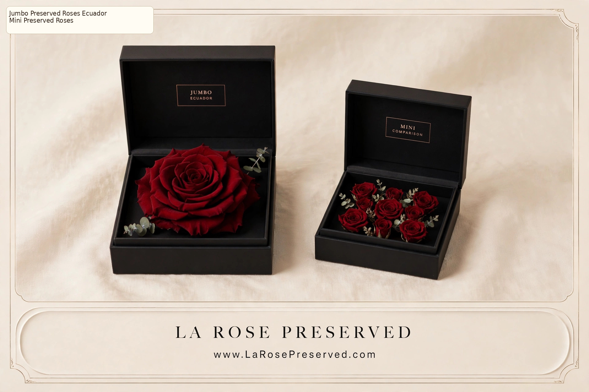 Rosas Preservadas Ecuador La Rose Preserved Infinity Blooms