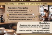 Polifuncional para Cafetería-Cocina